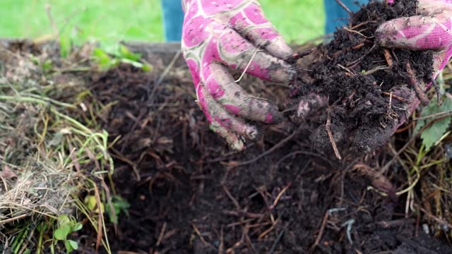 Composting natural waste in garden into compost bin
