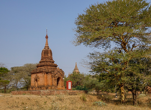 Ancient Buddhist temple with trees in Bagan, Myanmar. Bagan in central Burma is one of the world greatest archeological sites.