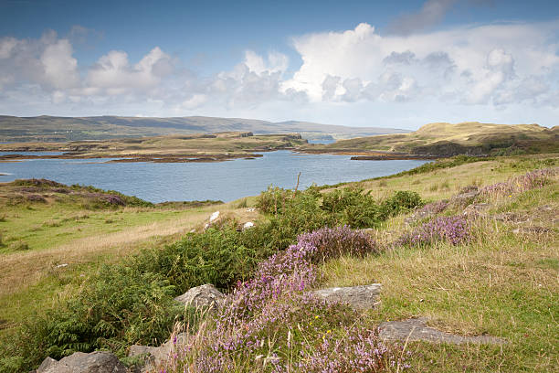 istock Dunvegan on the Isle of Skye, Scotland 162233218