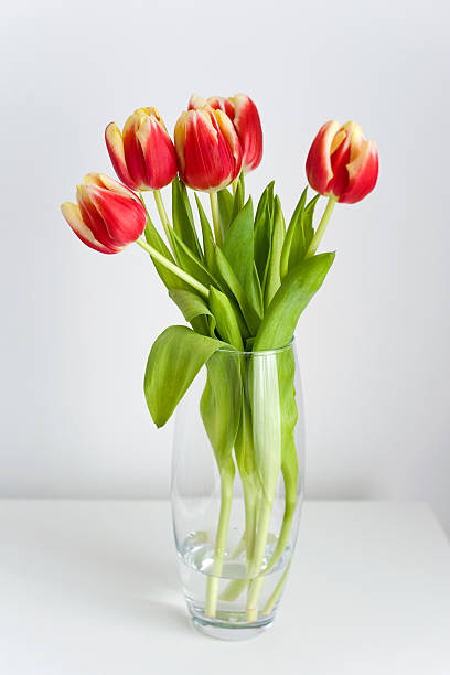 istock bouquet of tulips 162233546