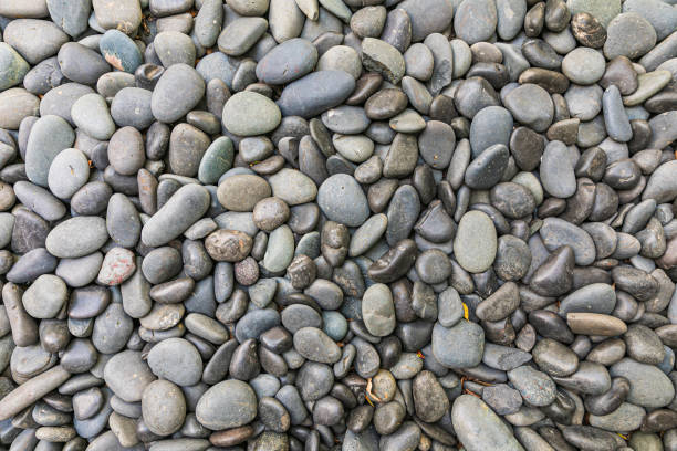 istock Scattered black stones seeds  in the background 1622338774