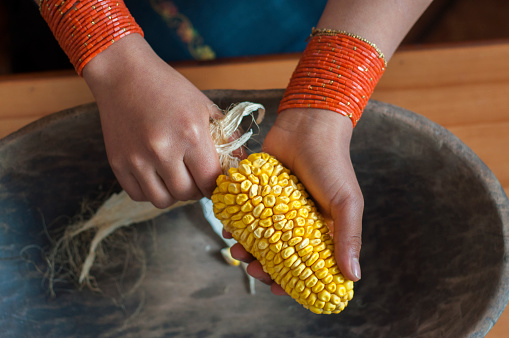 Two pretty hands of an indigenous woman removing the dry leaves from an ear of corn. High quality photo
