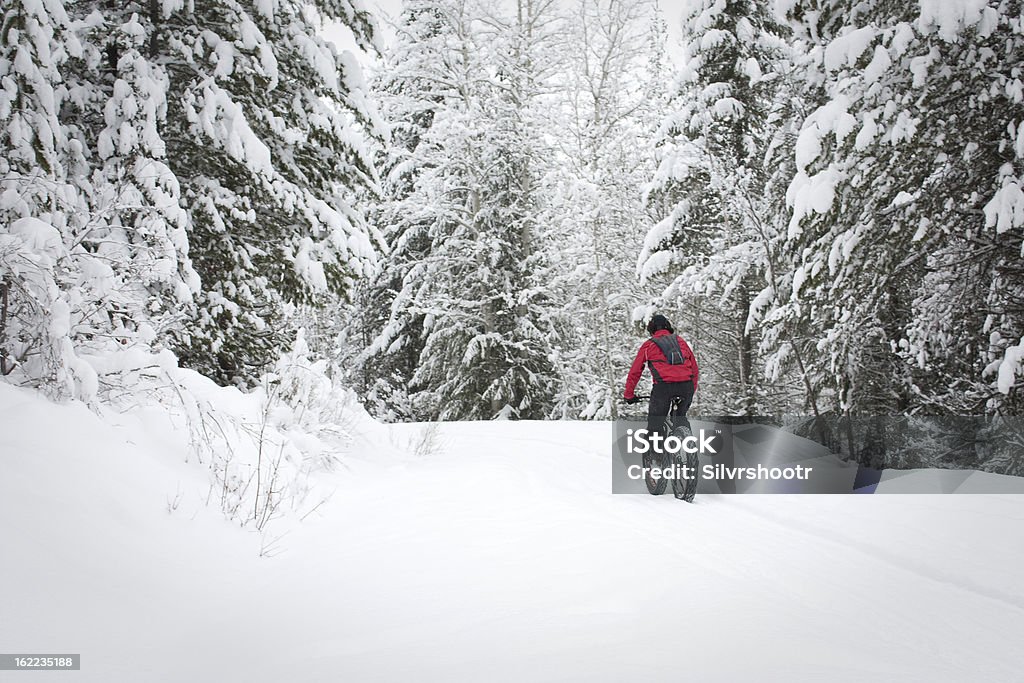 Ciclista andar Neve coberta por uma Trilha snowbike. - Royalty-free Bicicleta Foto de stock