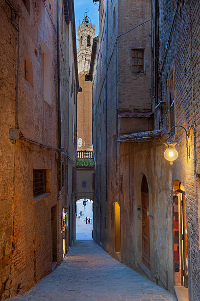 istock Siena, Tuscany, Italy 162235208