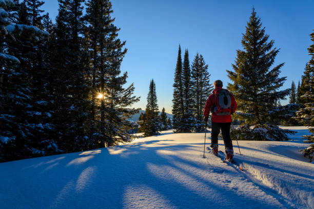 istock Backcountry Skier Ski Touring High in Mountains 162235285