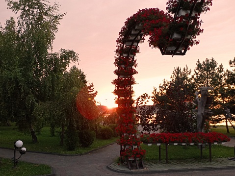 Arch of red flowers at sunset. Sunset in a beautiful park with many flowers and ornamental plants. Flower beds.
