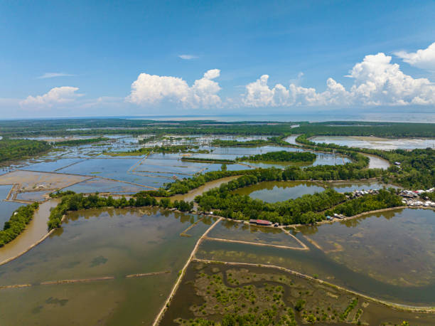 istock Countryside of the Philippines. 1622366095