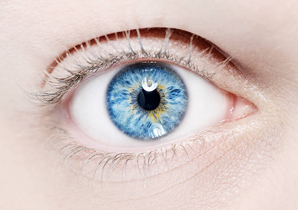 macro di occhio blu - occhi azzurri foto e immagini stock