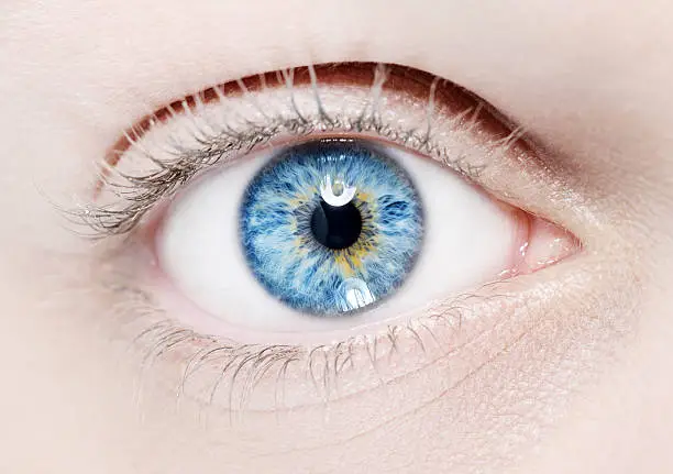 macro shoot of woman blue eye.