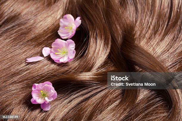 Schönes Gesundes Glänzendes Haar Mit Sakura Blumen Stockfoto und mehr Bilder von Natur - Natur, Menschliches Haar, Ausmalen