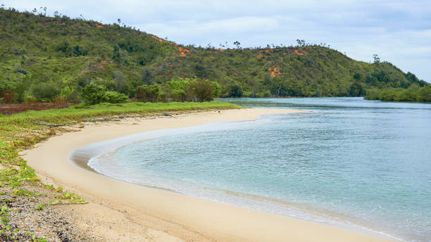 istock untouched beach  with coco palms on sandy beach and blue sea. 1622382493