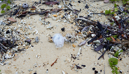 plastic bottle garbage pollution on beach stock photo