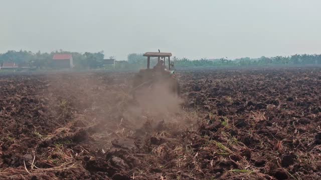 sugarcane plantation land: tillage with a tractor