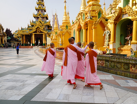Yangon, Myanmar - Feb 26, 2016. Buddhist nuns walking at Shwedagon Pagoda in Yangon, Myanmar. The Shwedagon Pagoda is one of the most famous pagodas in the world.