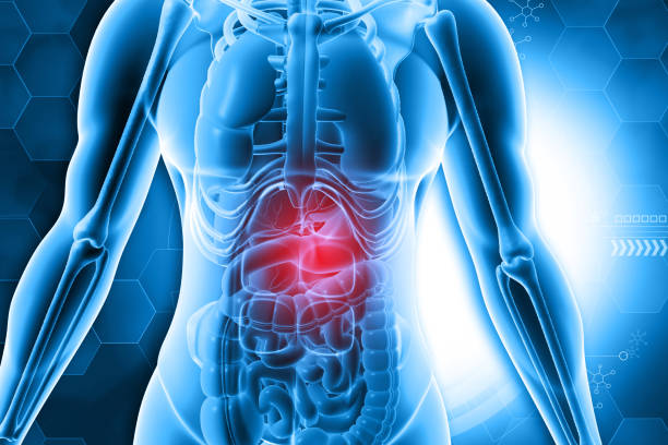 istock Human body anatomy on blue color background 1622392068