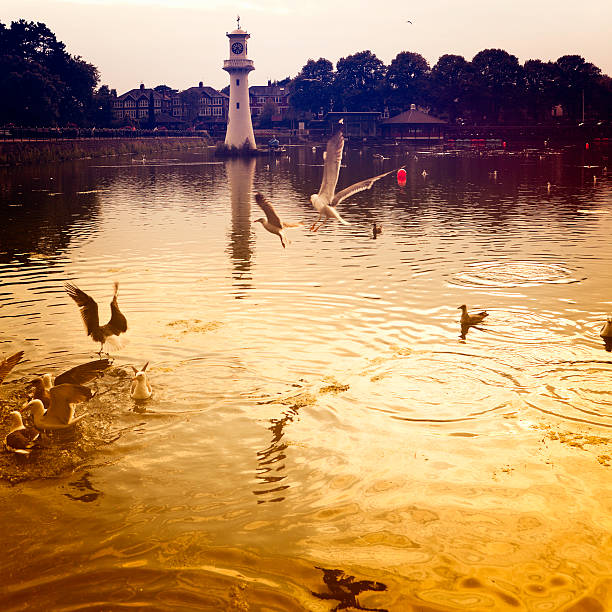 Roath Park Lake, Cardiff, Wales. UK