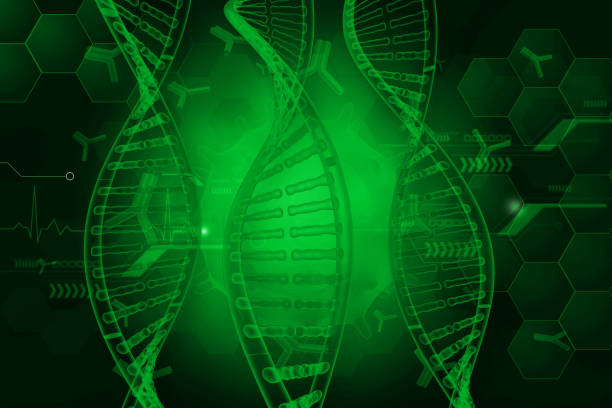 DNA strand on greenscientific background. 3d illustration