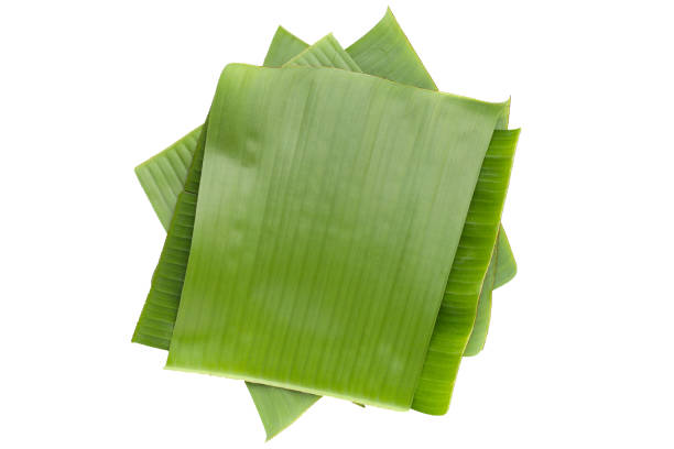 istock Banana leaves on white background. 1622427253