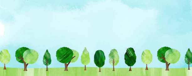 ilustrações, clipart, desenhos animados e ícones de ilustração de fundo em estilo aquarela com um céu azul e novo caminho forrado de vegetação. - treelined forest tree summer