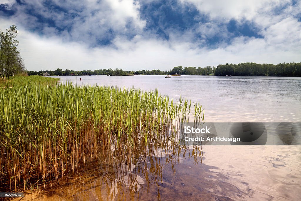 Kiebitzsee - Стоковые фото Берег озера роялти-фри