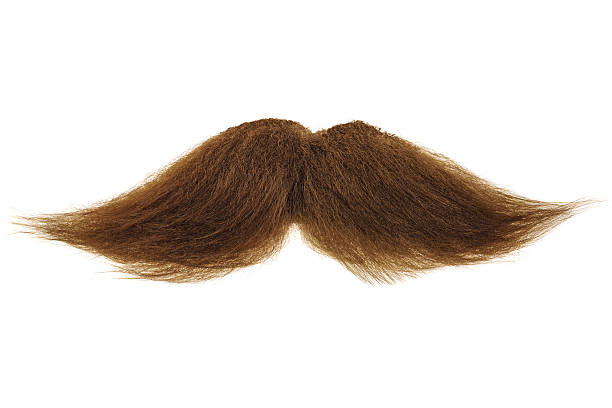 Brown mustache isolated on white Curly brown mustache isolated on a white background mustache stock pictures, royalty-free photos & images