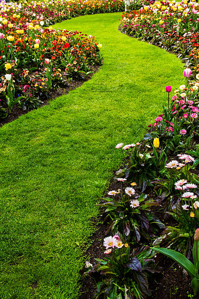 istock Keukenhof Gardens-Netherlands 162245679