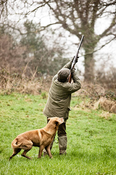 istock Shooting game birds, with dog 162245769
