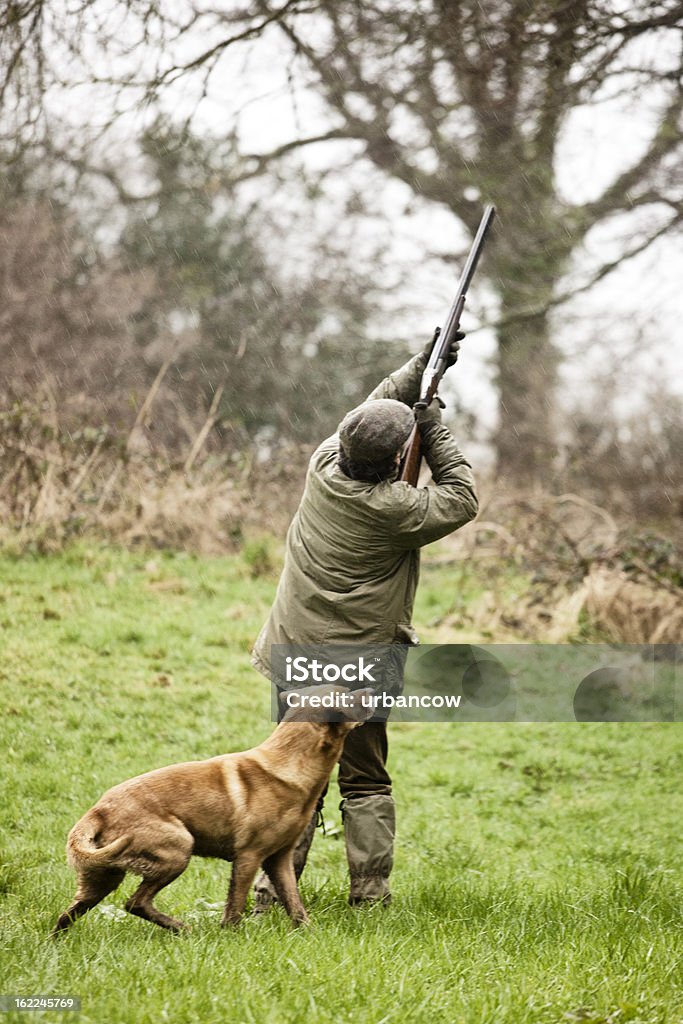 Tiro de aves, com o cão - Royalty-free Arma de Fogo Foto de stock