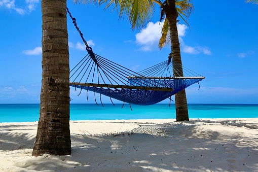 A hammock between two palm trees on the beach in Kendwa beach, Zanzibar