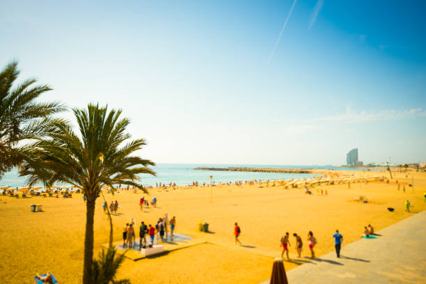 istock Beach with Parasol in Barcelona, Spain 162247612