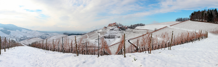 panorama of landscape in winter with snowy mountains and vineyard Black Forest