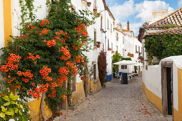 Typical street of Obidos medieval fortified town in Portugal obidos photos stock pictures, royalty-free photos & images