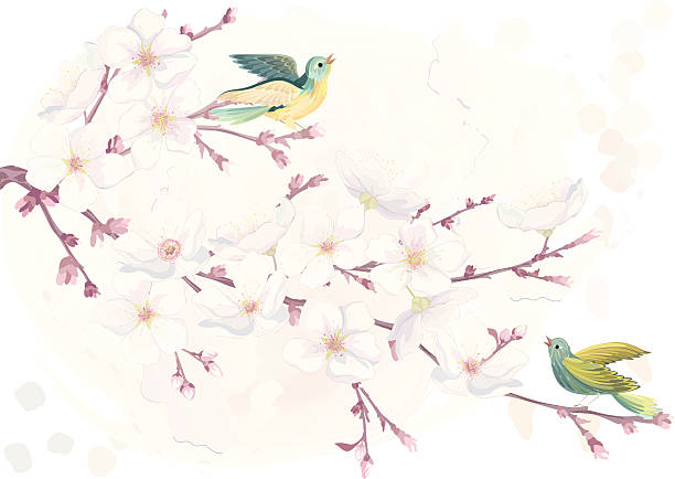 Blossoming cherry tree vector art illustration