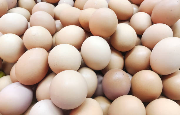 istock pack of chicken egg in groceries store 1622494658