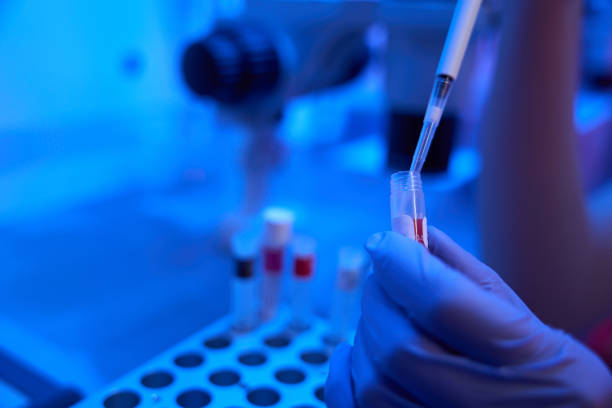 istock Laboratory assistant takes biomaterial from test tube with special pipette 1622520663