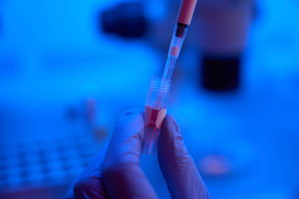 Person selects biomaterial from a test tube with a special pipette, a laboratory assistant works in protective gloves