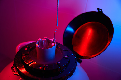 Removal of test tubes with biomaterial from the cryocapsule in the laboratory, modern equipment is used for cryopreservation