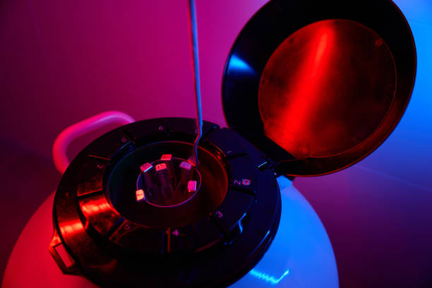 perendaman tabung reaksi dengan biomaterial dalam cryocapsule di laboratorium - oocyte cryopreservation foto potret stok, foto, & gambar bebas royalti