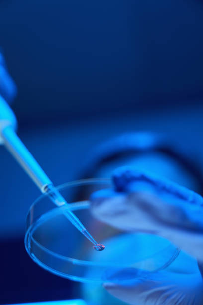 istock Laboratory assistant manipulates the biomaterial in a modern laboratory 1622524215