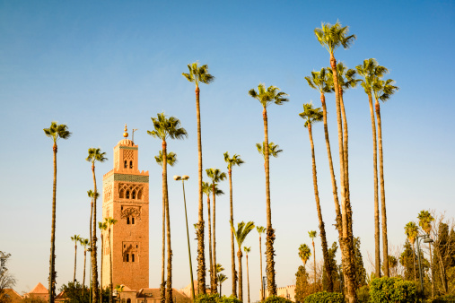 Koutoubia minaret in Marrakech with palm trees.