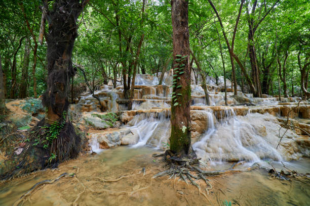 istock Scenic view of waterfall in forest 1622526475