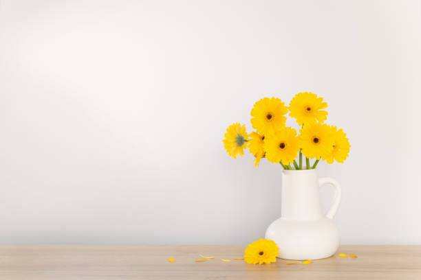 istock yellow gerbera in  white jug  on wooden shelf  on background wall 1622528770