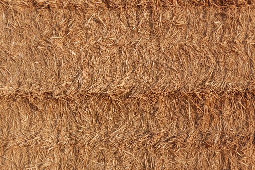 Hay background. Haystacks background, texture. Wheat gold hay in field. Hay prepared for farm animal feed in winter. Stacks dry hay open air fiel. Straw bale harvesting. Haybale background