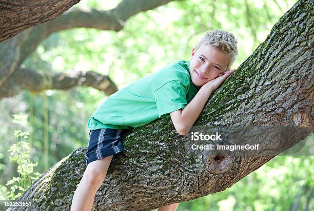 Jovem Rapaz Abraçar Uma Árvore - Fotografias de stock e mais imagens de Abraçar - Abraçar, Abraçar Árvore, Ambientalista