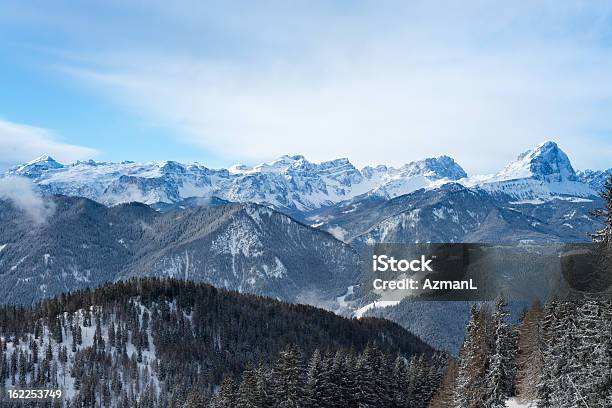 Paesaggio Invernale - Fotografie stock e altre immagini di Albero - Albero, Albero sempreverde, Ambientazione esterna