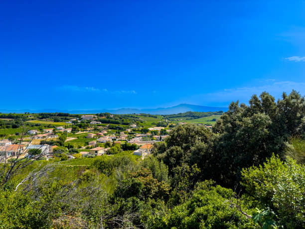 Village of Elegance: Roaming the Historic Streets ofChateauneuf-du-Pape