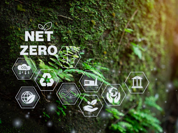 istock CO2 emission reduction concept, clean and friendly environment without carbon dioxide emissions. Planting trees to reduce CO2 emissions, environmental protection concept. 1622547953