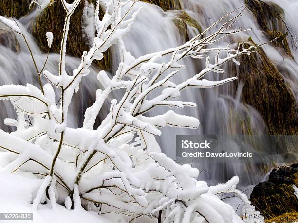 Neve Su Bush - Fotografie stock e altre immagini di Acqua - Acqua, Acqua fluente, Ambientazione esterna