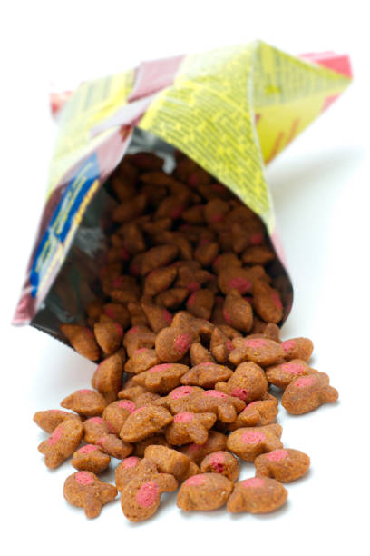 istock Cat Food Spilling from Bag 162255798