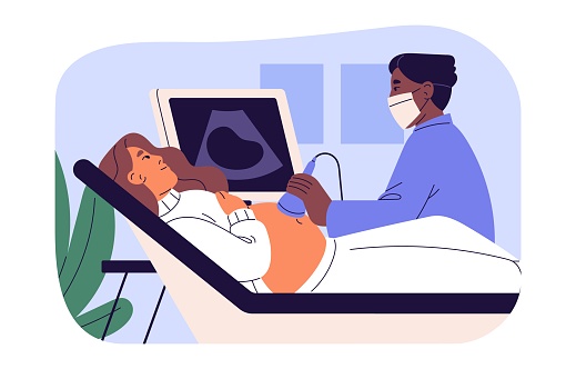 Doctor of ultrasound diagnostic and pregnancy. Pregnant patient on ultrasonography, sonography in hospital. Obstetrician scanning baby, sonogram examination. Flat isolated vector illustration on white.